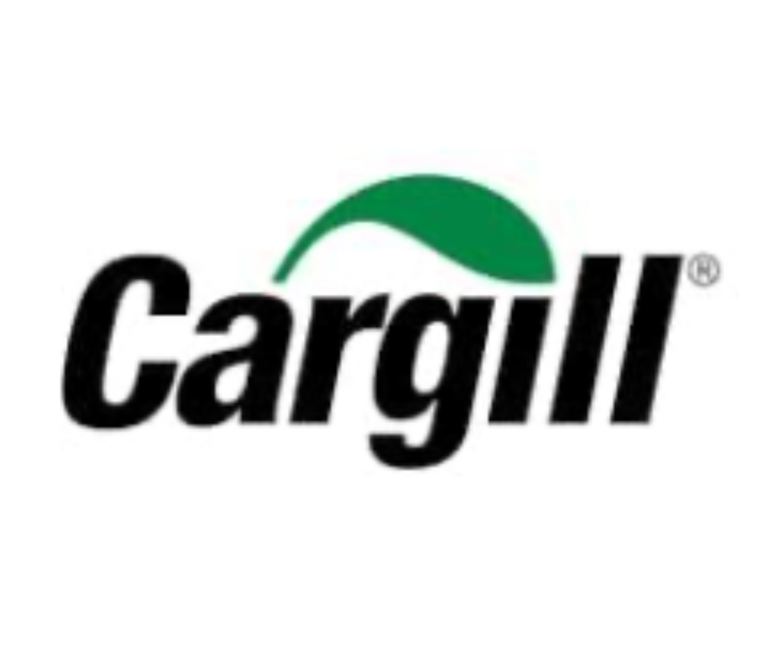 Logo PNG-13